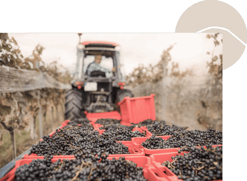 Agriculteur tracteur